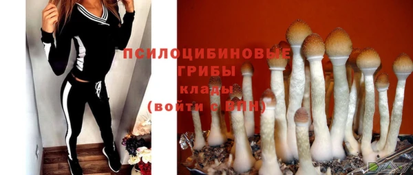 а пвп мука Нягань