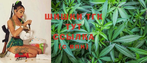 прущие крисы Няндома