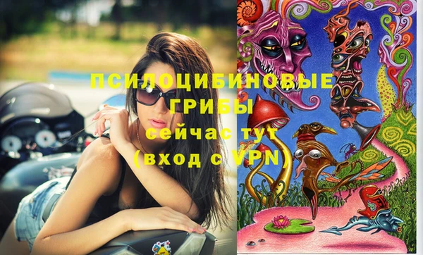 прущие крисы Няндома
