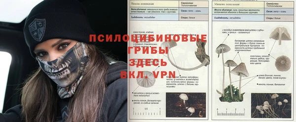 гашик Балашиха