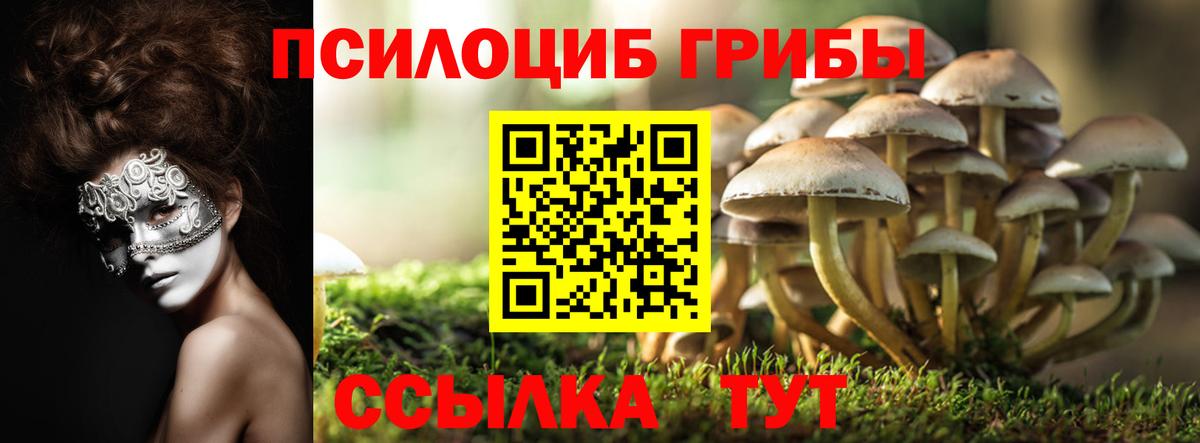 Псилоцибиновые грибы GOLDEN TEACHER  Белогорск 